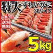 画像1: 特大 ずわいがに 脚 5kg 【3Lサイズ】 (1)