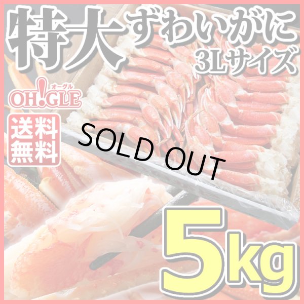 画像1: 特大 ずわいがに 脚 5kg 【3Lサイズ】 (1)